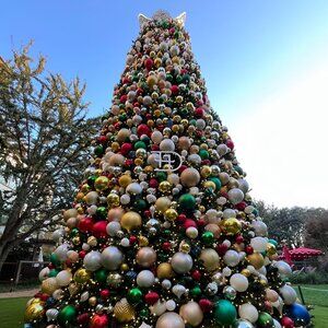 Meet your Posher, Tiffani